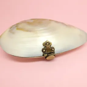 Antique Victorian Shell Coin Purse Jewellery Box